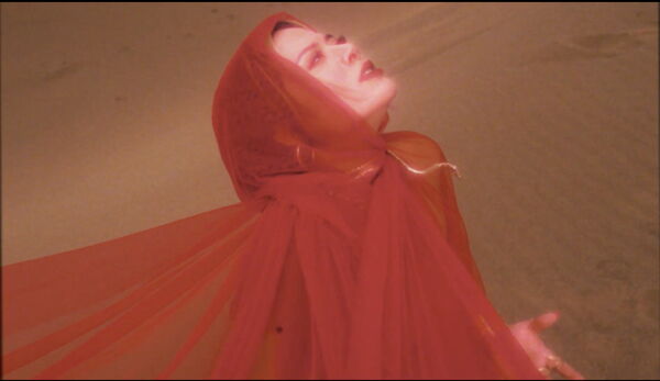 ▲▼ 夏沐受邀黑眼豆豆演唱會擔任開場嘉賓。（圖／夏沐提供）