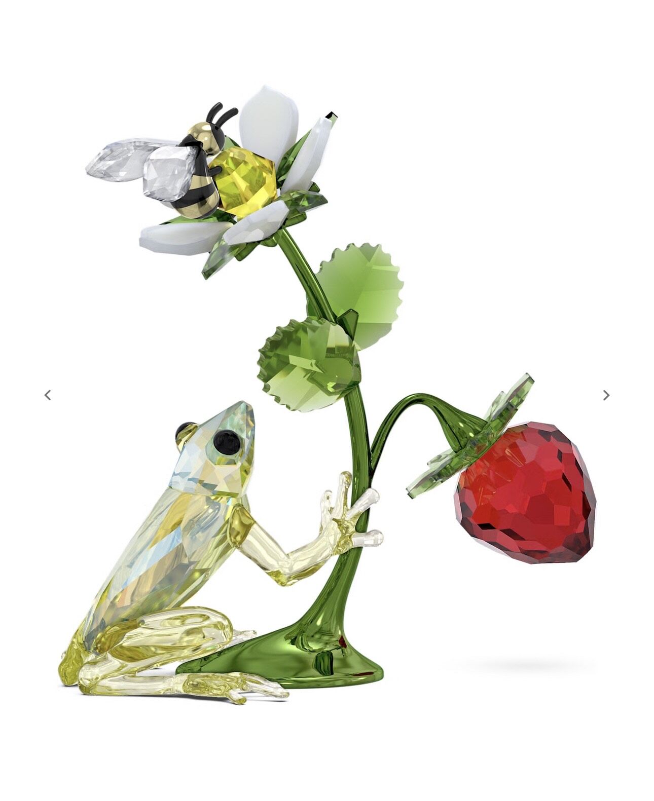 ▲▼ 青蛙首飾            。（圖／公關照）