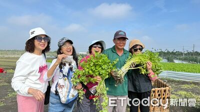 一拔就停不下來　屏東新園毛豆+芹菜管讓阿公阿嬤笑著下田