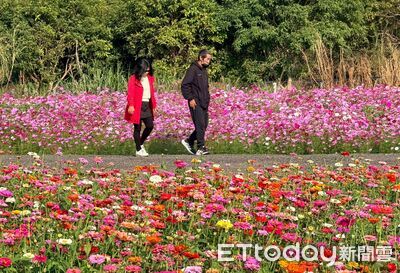 竹山鎮竹藝燈會12／24試點燈　九十九崁繽紛花海搶先迎賓