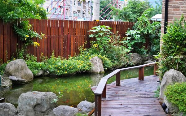 ▲▼花蓮木材工廠二代轉型「檜木居民宿」，以台灣檜木打造的木質調獨棟民宿，有肥美家貓叫起床，還有清粥小菜早餐招待。（圖／部落客Mika提供）