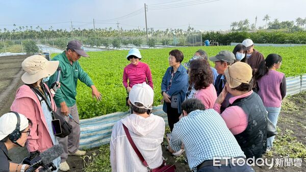 ▲新園食農示範小旅行&mdash;芹豆初開。（圖／新園鄉公所農業課提供）