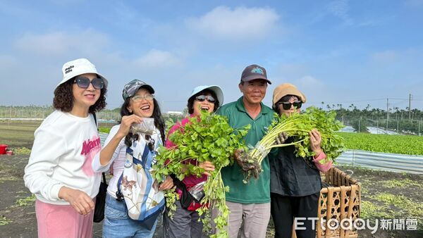▲新園食農示範小旅行&mdash;芹豆初開。（圖／新園鄉公所農業課提供）