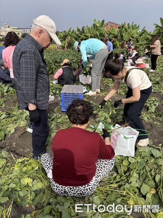 ▲新園食農示範小旅行&mdash;芹豆初開。（圖／新園鄉公所農業課提供）