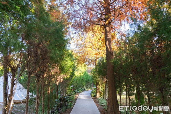 ▲自然圈農場Lofi Land,苗栗旅遊,卓蘭旅遊。（圖／記者彭懷玉攝）