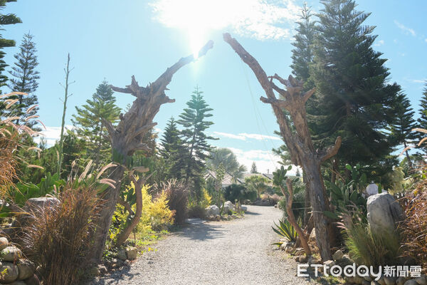 ▲自然圈農場Lofi Land,苗栗旅遊,卓蘭旅遊。（圖／記者彭懷玉攝）