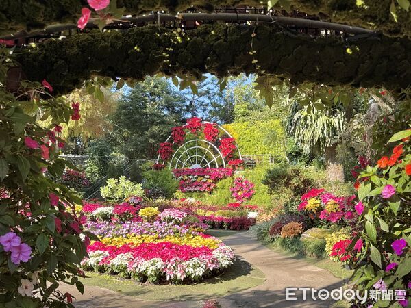 ▲花露農場,卓蘭旅遊,苗栗旅遊。（圖／記者彭懷玉攝）