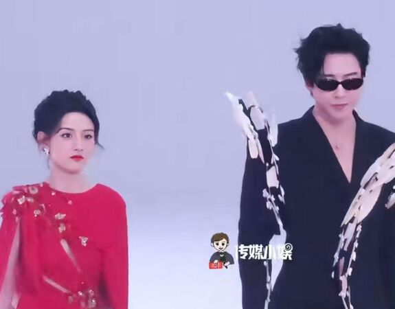 ▲▼ 劉宇寧、2025、騰訊星光大賞           。（圖／記者翻攝 騰訊視頻、搜狐娛樂）