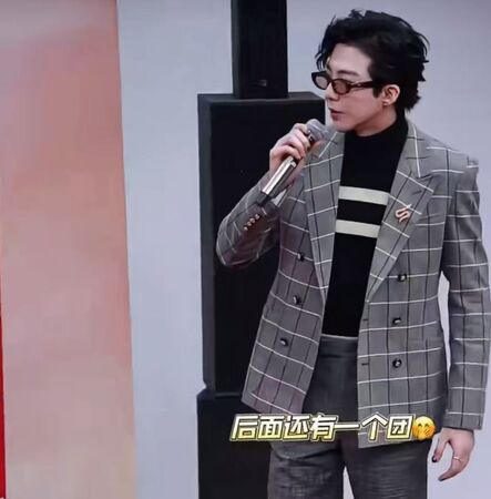 ▲▼ 劉宇寧、2025、騰訊星光大賞           。（圖／記者翻攝 騰訊視頻、搜狐娛樂）