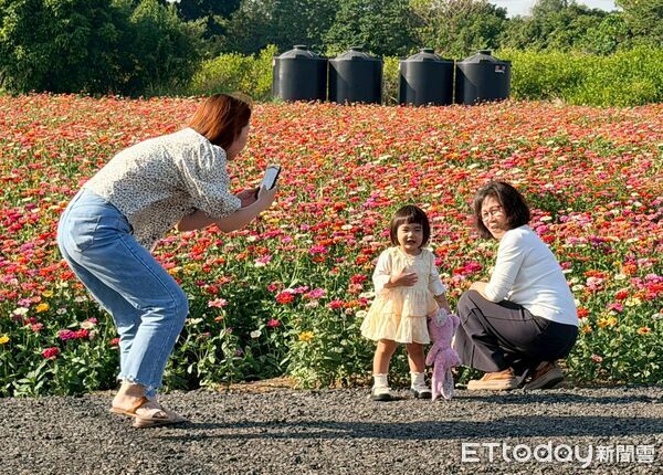 ▲竹山鎮九十九崁繽紛花海盛放迎賓。（圖／竹山鎮公所提供，下同）
