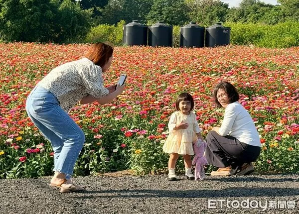 ▲竹山鎮九十九崁繽紛花海盛放迎賓。（圖／竹山鎮公所提供，下同）