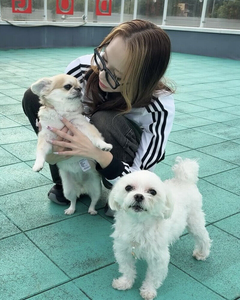 《不良一族尋愛記》Baby尤莉亞劇中瀏海染造型太颯！早在2017年就曾參加戀愛實境節目、練空手道背後藏著「這個原因」