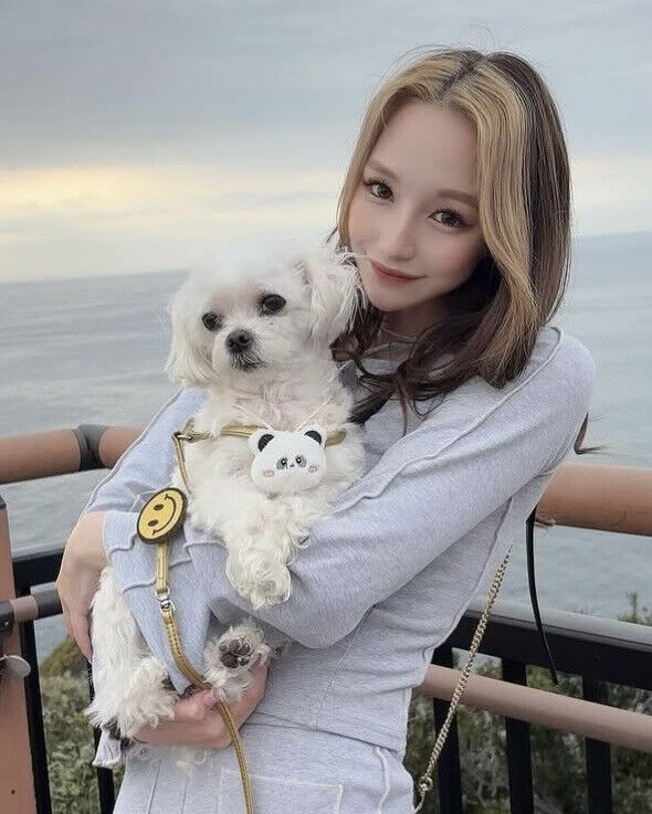 《不良一族尋愛記》Baby尤莉亞劇中瀏海染造型太颯！早在2017年就曾參加戀愛實境節目、練空手道背後藏著「這個原因」