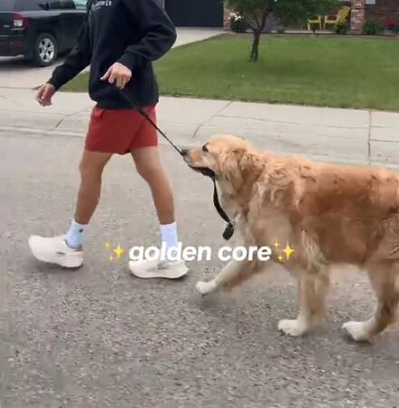 ▲。（圖／翻攝自TikTok／@waltandzo）