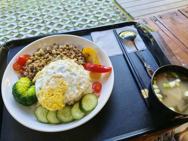 ▲悠然秘境小屋落羽松。（圖／業者提供）