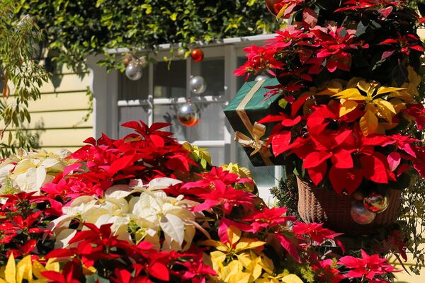 ▲普拉多山丘假期景觀餐廳民宿。（圖／翻攝自Facebook／普拉多山丘假期景觀餐廳民宿）