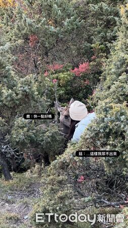 ▲。（圖／Threads@pei_gu_0603提供，請勿隨意翻拍，以免侵權。）