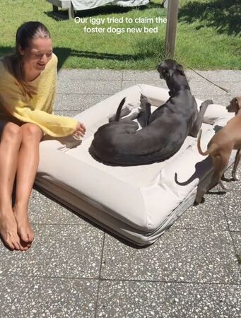 ▲。（圖／翻攝自TikTok／@andetho）