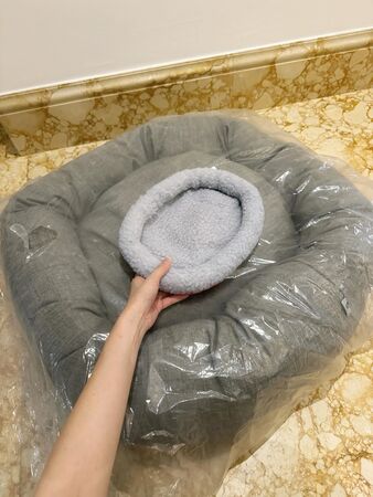 探病遇到E喵。（圖／翻攝自Threads@ritadesertrose）