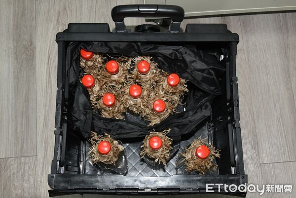 ▲▼張文手中的汽油彈，疑似是恐怖的「燒夷彈」。（圖／記者張君豪翻攝）