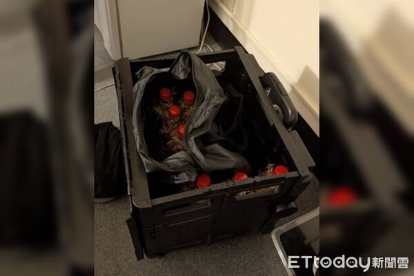 ▲▼張文手中的汽油彈，疑似是恐怖的「燒夷彈」。（圖／記者張君豪翻攝）