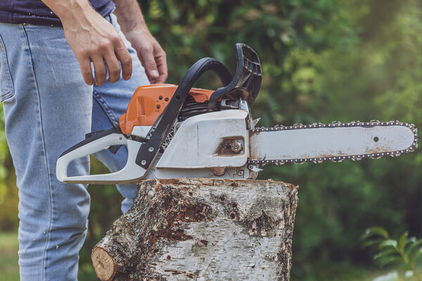 ▲▼電鋸。（圖／VCG）