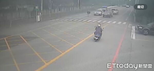 ▲▼鴕鳥在花蓮台九線上奔跑與車爭道。（圖／記者王兆麟翻攝，下同）