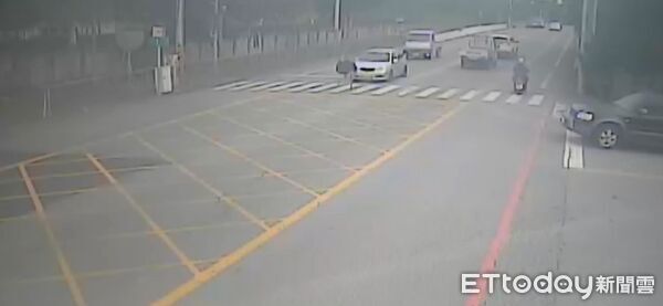 ▲▼鴕鳥在花蓮台九線上奔跑與車爭道。（圖／記者王兆麟翻攝，下同）