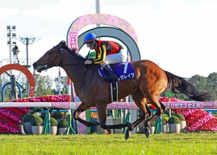 ▲▼第70屆有馬紀念票選第一的馬「蕾麗宮（Regaleira）」，票數高達61萬2771票創下歷史新高紀錄。（圖／翻攝自X）