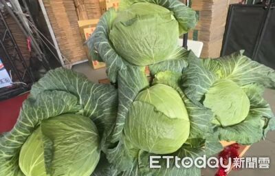 高麗菜、咖哩讀做「高離菜、ㄎㄚ哩」！國文老師：我不敢讀
