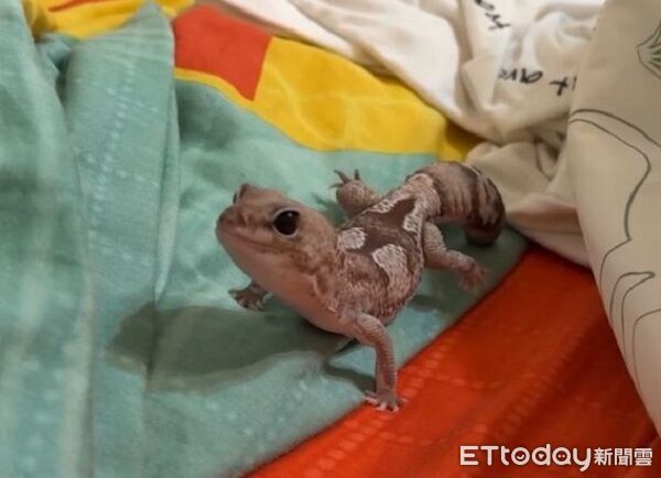 ▲。（圖／Threads@yisssss24提供，請勿隨意翻拍，以免侵權。）