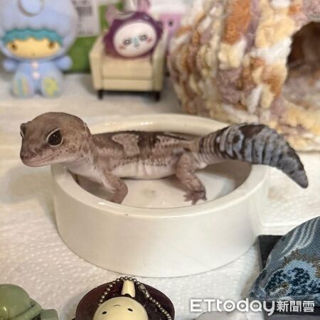 ▲。（圖／Threads@yisssss24提供，請勿隨意翻拍，以免侵權。）