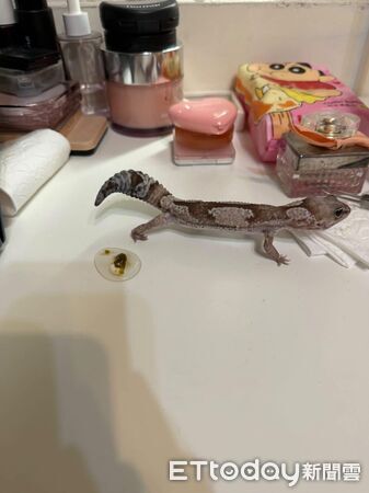 ▲。（圖／Threads@yisssss24提供，請勿隨意翻拍，以免侵權。）