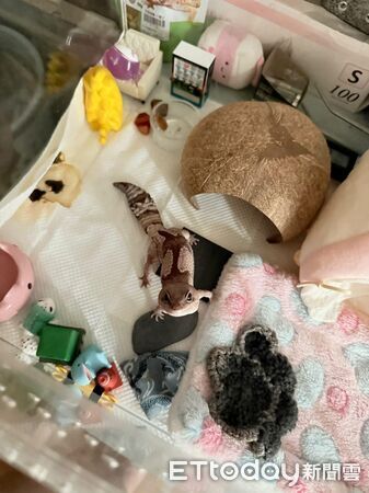 ▲。（圖／Threads@yisssss24提供，請勿隨意翻拍，以免侵權。）