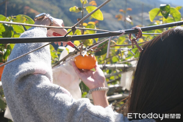 ▲詩歌謠天空,環山部落,山嵐居。（圖／記者彭懷玉攝）