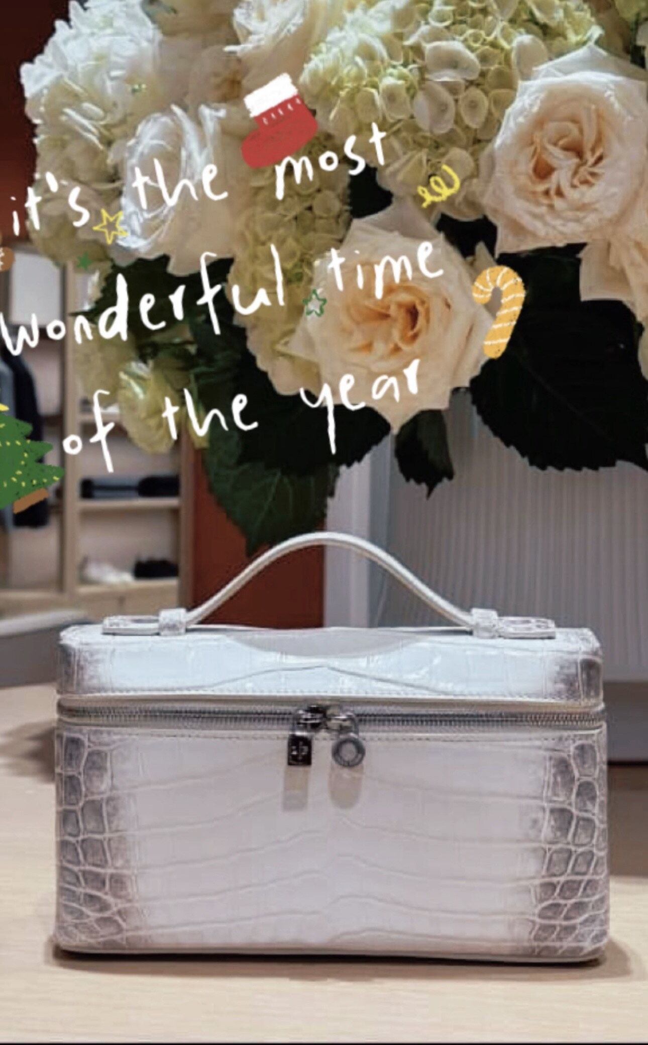 ▲▼ 陳美鳳         。（圖／翻攝IG）