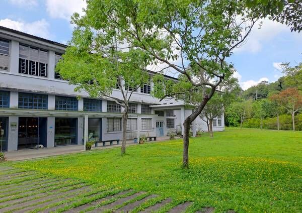 ▲茶枝重生為「農林紙」大溪老茶廠百週年紀念禮盒包裝率先用