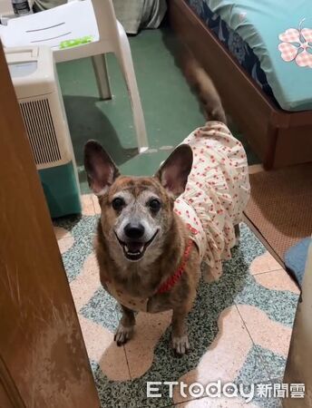 ▲。（圖／有點毛毛的／孫秀瑛提供）