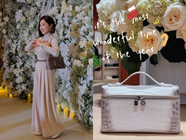 陳美鳳聖誕大禮曝光　貴婦牌鱷魚皮包寵自己