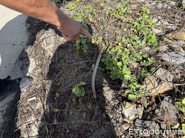 ▲恆春警方逮獲溫男涉嫌行竊電纜線。（圖／記者陳崑福翻攝）