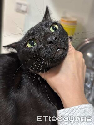 ▲。（圖／Threads@shiau0619提供，請勿隨意翻拍，以免侵權。）