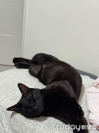 ▲。（圖／Threads@shiau0619提供，請勿隨意翻拍，以免侵權。）