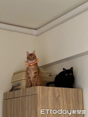 ▲。（圖／Threads@shiau0619提供，請勿隨意翻拍，以免侵權。）