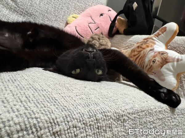 ▲。（圖／Threads@shiau0619提供，請勿隨意翻拍，以免侵權。）