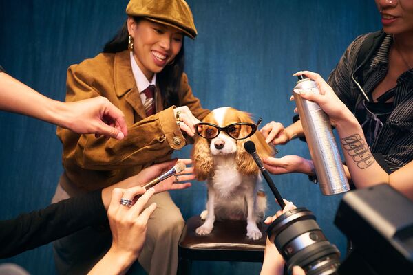 ▲▼ Miss Ko葛仲珊2k7愛犬。（圖／索尼音樂提供）