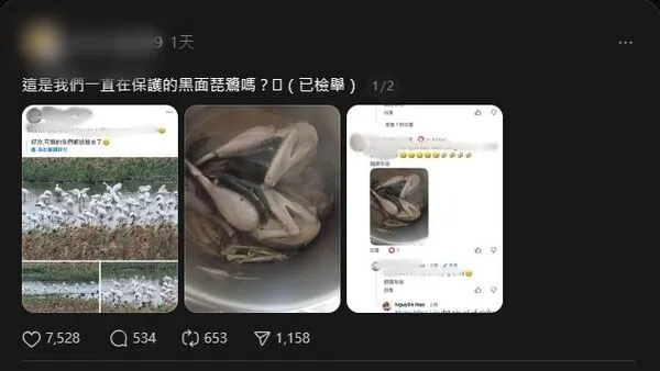 ▲網路流傳疑似獵捕黑面琵鷺影像引發關注，保七總隊澄清經鑑定為白腹秧雞，並不是黑面琵鷺。（民眾提供）