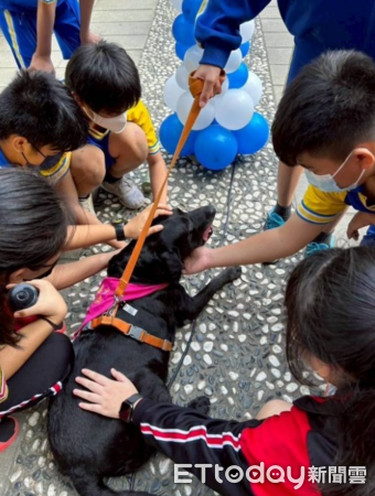 退役緝毒犬Vanya當護童大使。（圖／飼主謝秀吟提供）