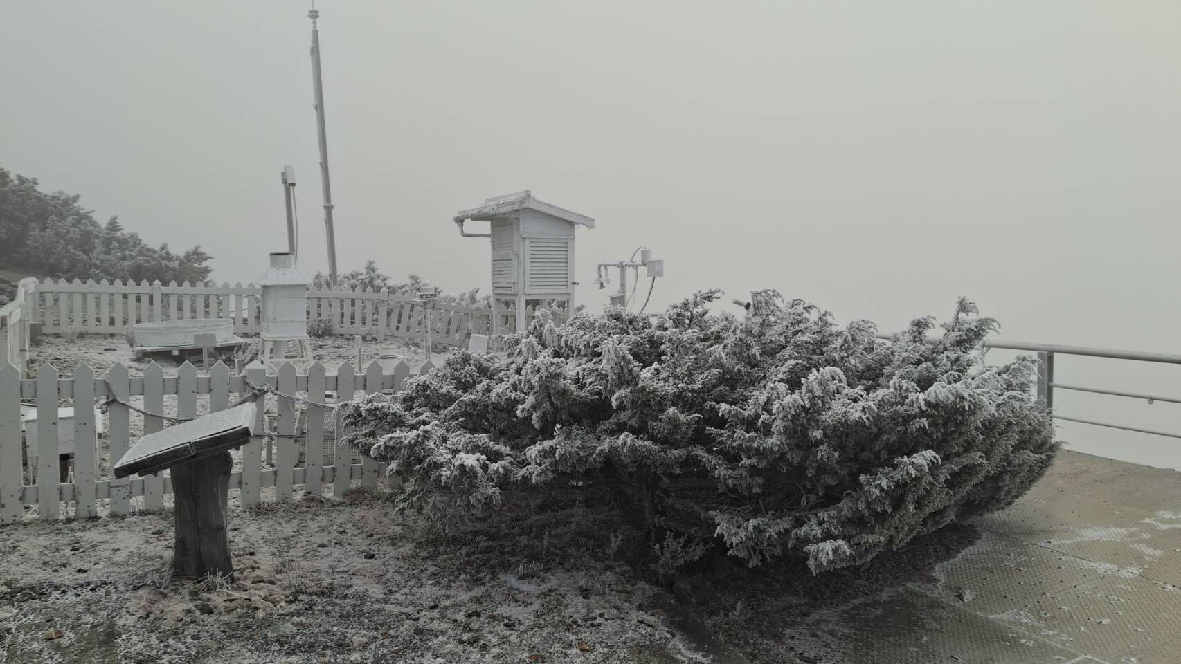 ▲▼玉山1226清晨下雪。（圖／中央氣象署提供）