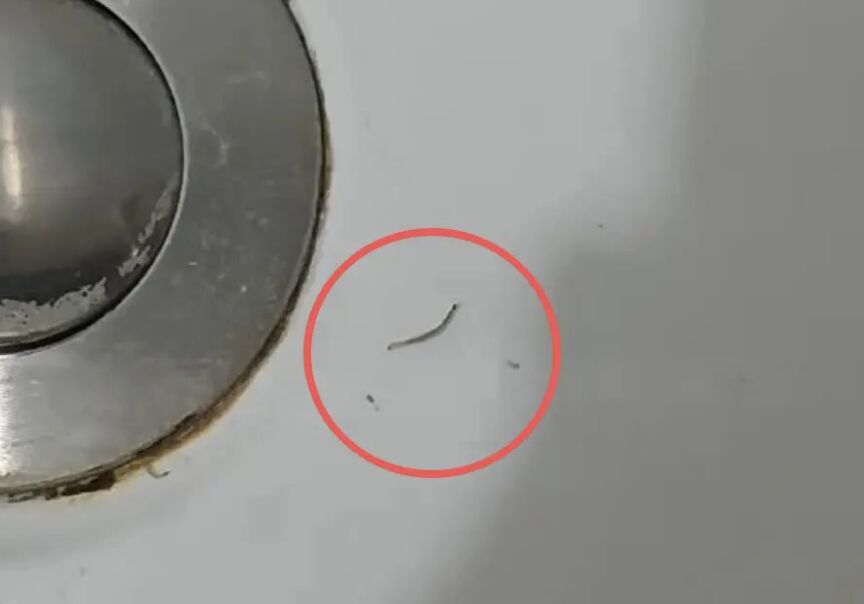 ▲哈爾濱一社區自來水出現嚴重的品質問題。（圖／翻攝極目新聞）