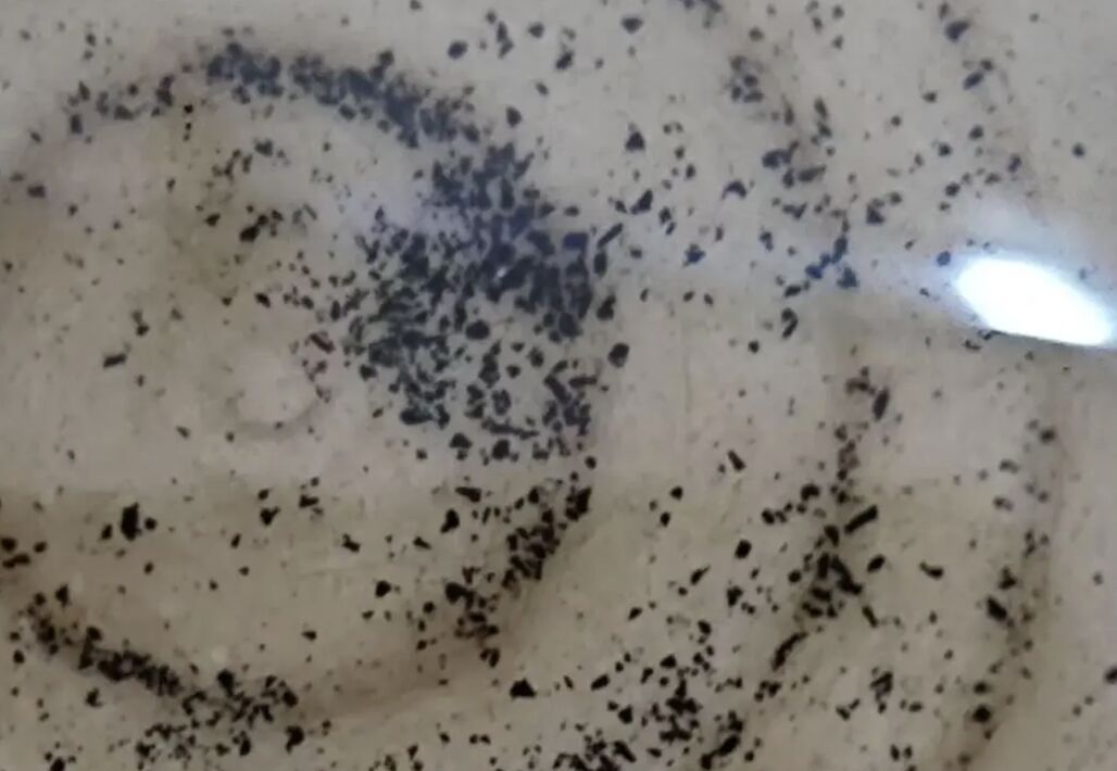 ▲哈爾濱一社區自來水出現嚴重的品質問題。（圖／翻攝極目新聞）